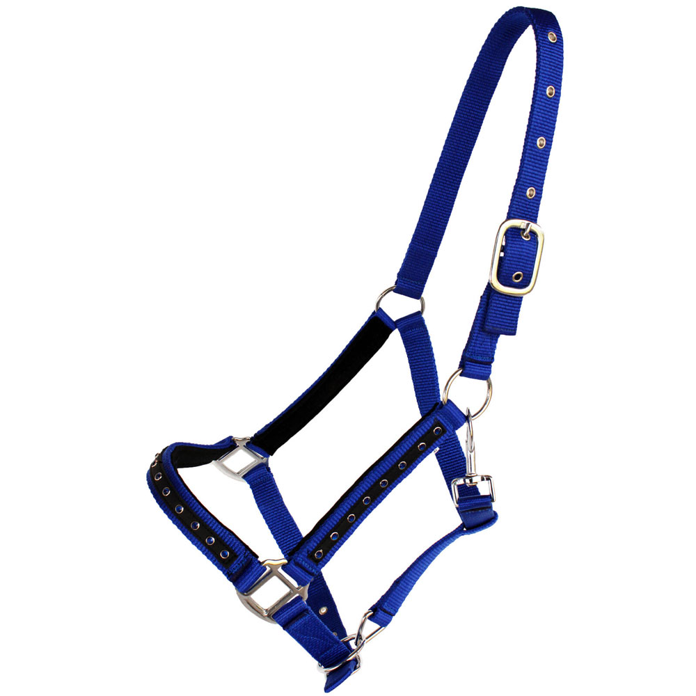 Horse Bridle Adjustable Horse Riding Halter Head Collar Durable Metal Rein Match Practical Equestrian Equipment