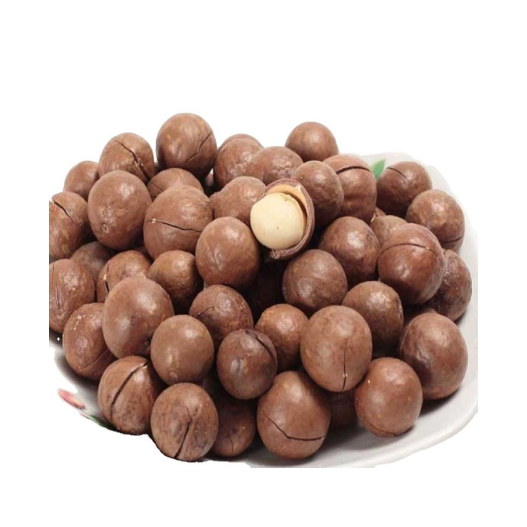 Macadamia Nuts Raw Salted Roasted Maca Powder Healthy Food Macadamia in Shell