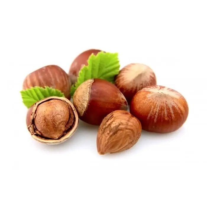 100% Roasted and Organic Hazelnut For Sale