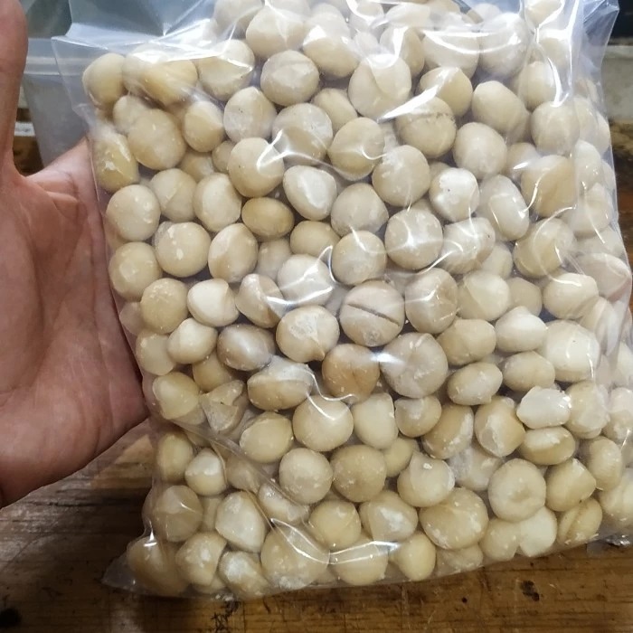 High quality Macadamia Nuts without Shell and Cashew