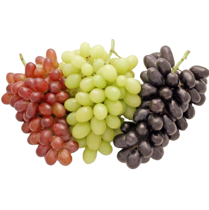 Quality South Seeded Fresh Red Grapes High Quality Best Price Fresh Sweet Seedless Seeded Black Green Red Grapes for Sale Fresh