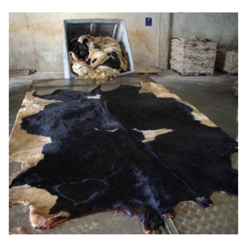High Quality Raw Wet Salted Cow Hides Natural Cow Skin Leather Low Wholesale Price for Genuine Leather