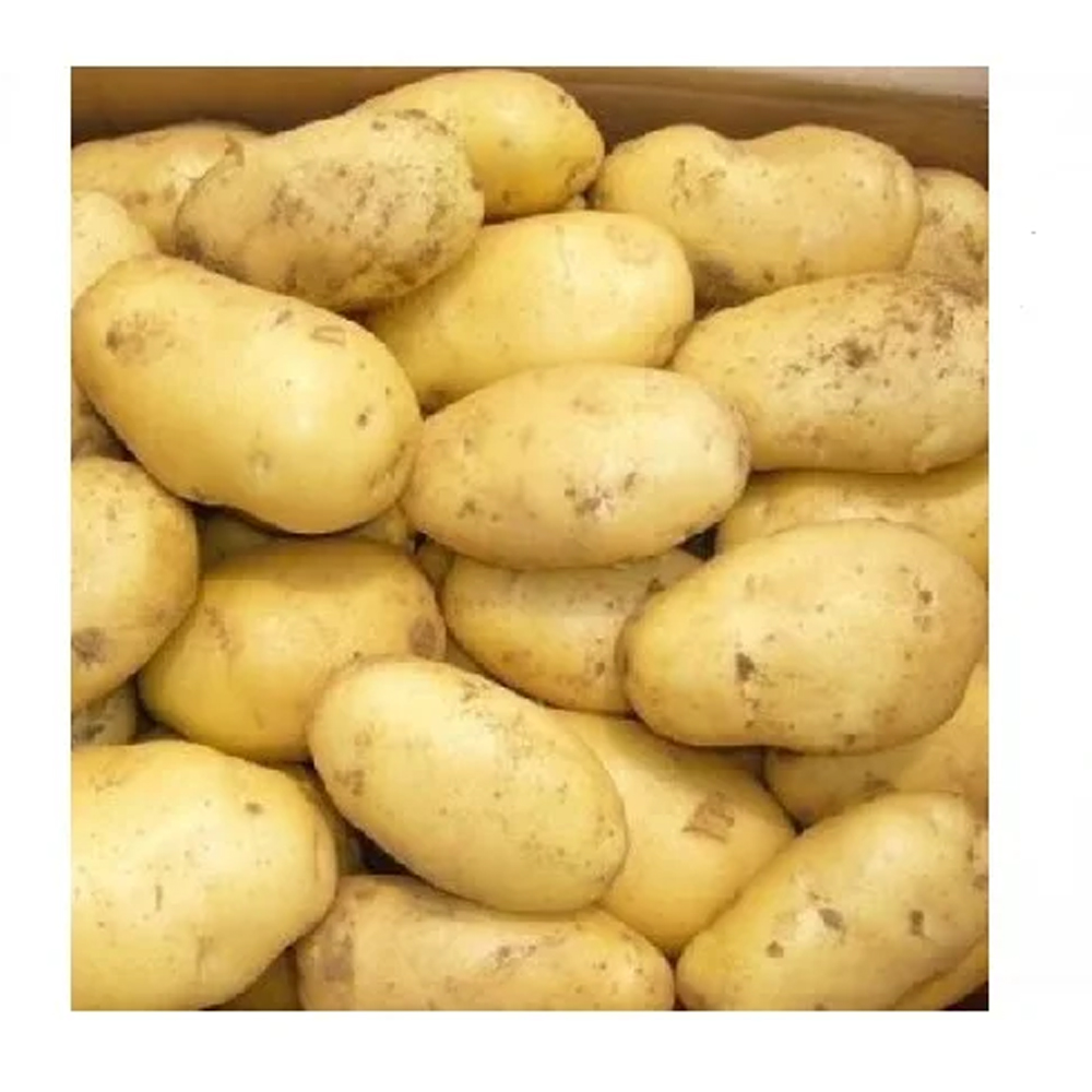 High Quality Fresh Potato New Crop Potato Fresh Vegetables Available At Wholesale Price
