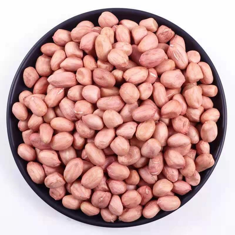 High Quality / Top Brazilian / 100% natural high grade 15-30 kg nuts and kernels from Brazil red skin raw peanut in shell for food with customize packing