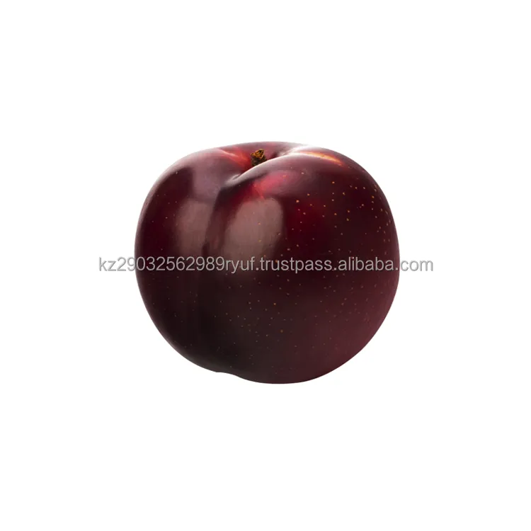 Exclusive plums dark purple with a strong wax coating amber flesh tender juicy sweet and sour