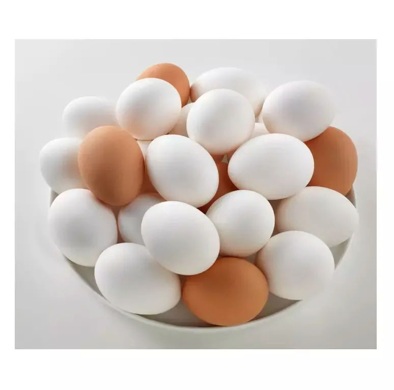 Wholesale price Brown /white Shell Table Eggs is available for shipment /Worldwide
