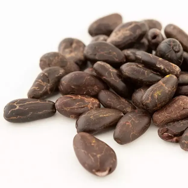 Rich Quality Premium Grade Top Rated Dried Cocoa Bean