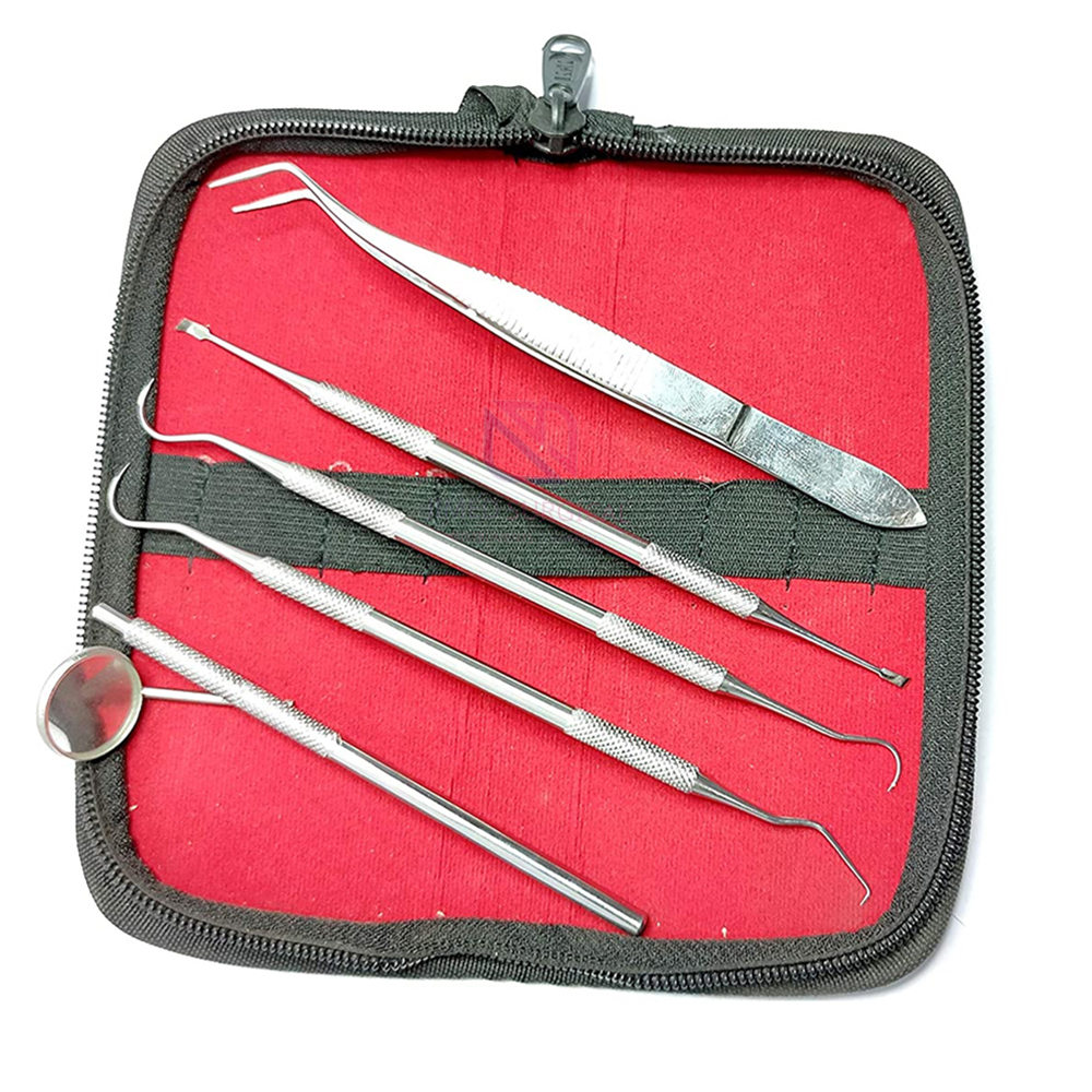 Professional Dental Hygiene Kit Teeth Cleaning Tools Set with Plaque Scraper, Dental Pick, and Dental Equipment for Oral Care