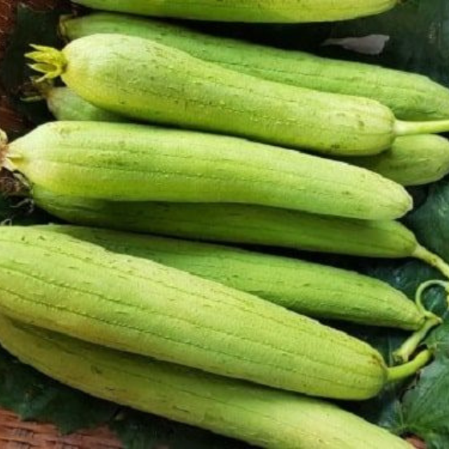 Высокое качество, Luffa apctiaca/Sponege тыква, овощной суп из Вьетнама