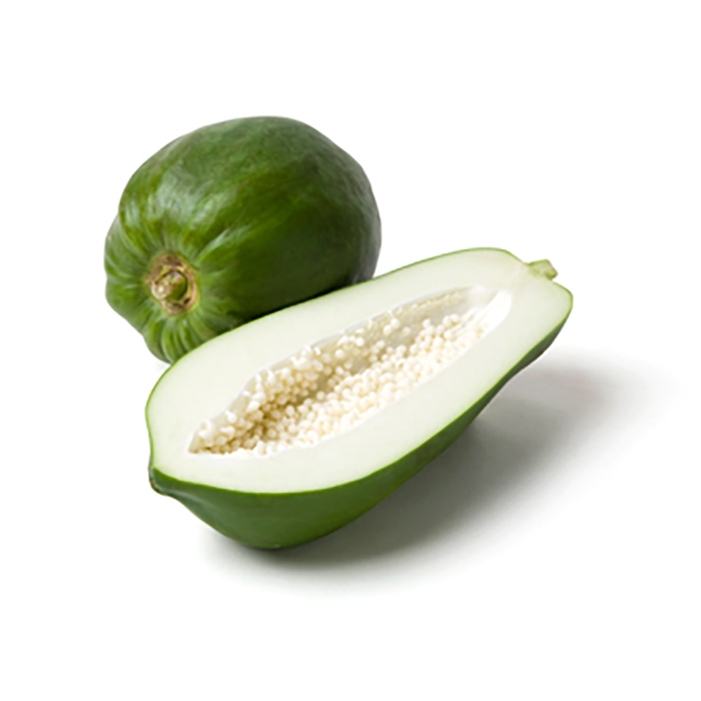 IQF FROZEN GREEN PAPAYA FROZEN YOUNG PAPAYA FROZEN ORIGIN VIETNAM / PAPAYA JOVEN CONGELADA - AN VAN THINH FOOD COMPANY