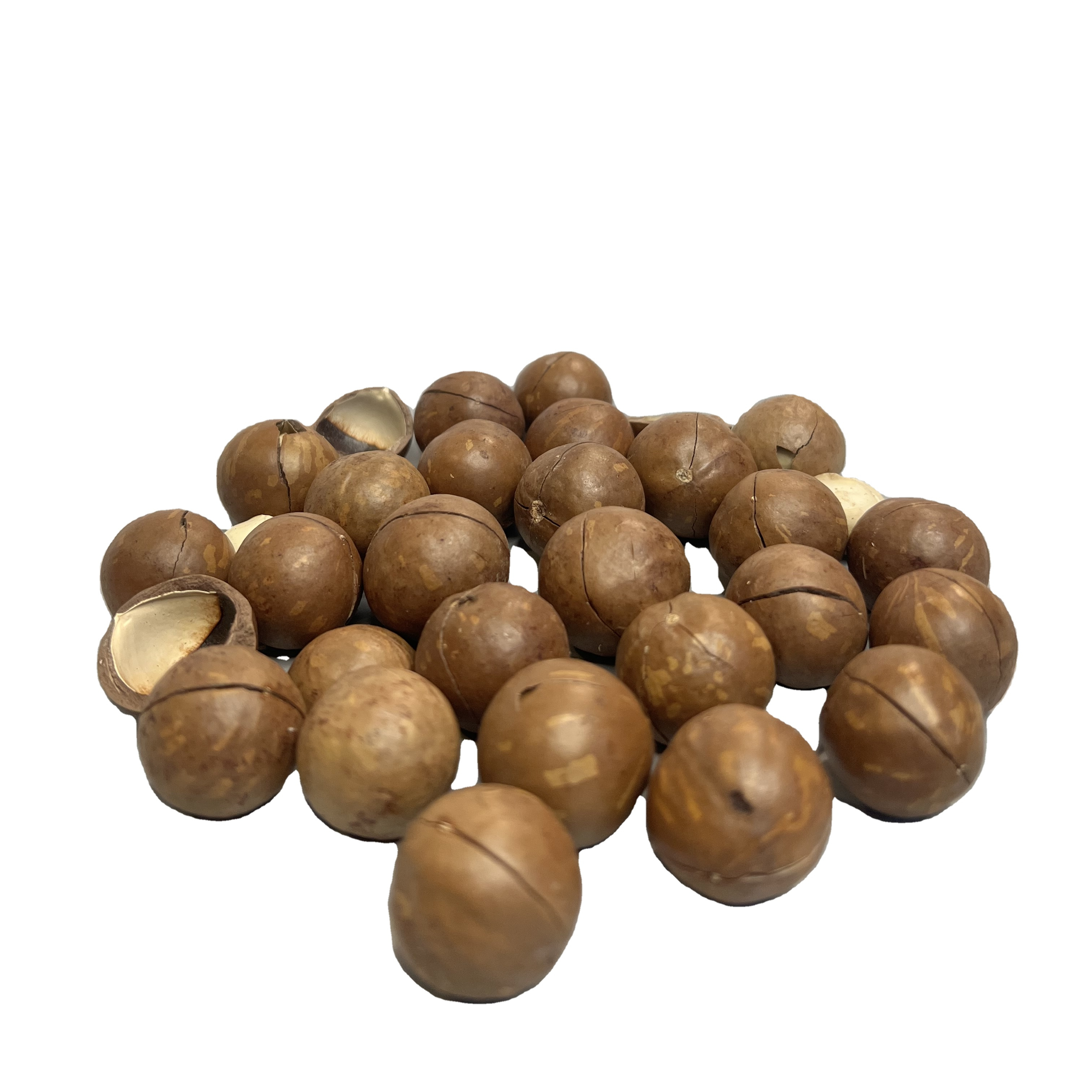 Roasted Macadamia Nuts For Sale Tammy +1 763 353 5245 (HUNG TAM VN) Hawaii from Viet Nam
