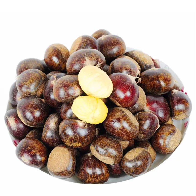 Factory Direct Supplier Delicious Chestnuts Fresh Raw Organic