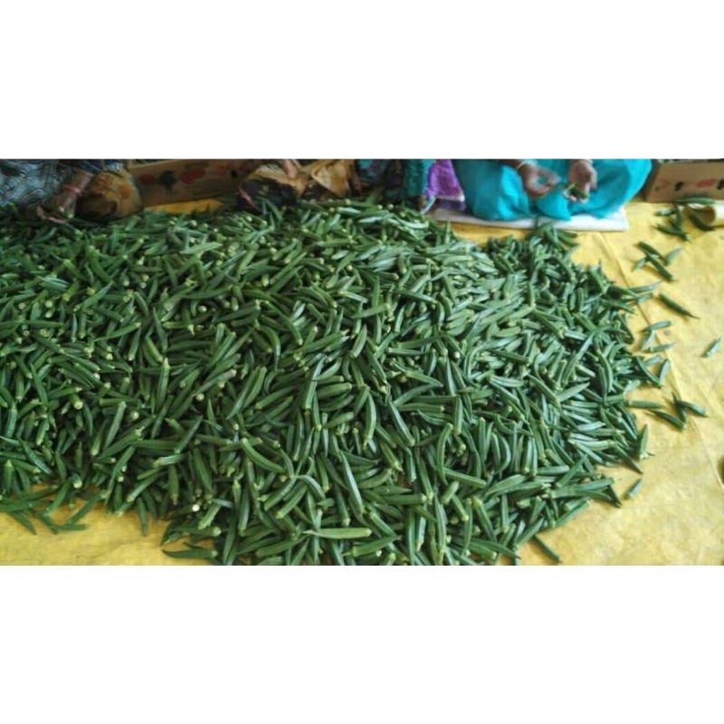Новый производственный материал для Okra Clemson без спиннинга (Op) Verity для Okro / green okra