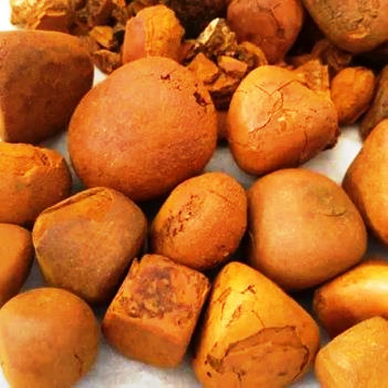 Качественные желчные камни из сушеного коровьего быка | Желчные камни для крупного рогатого скота | Коровьи желчные камни и Безоар