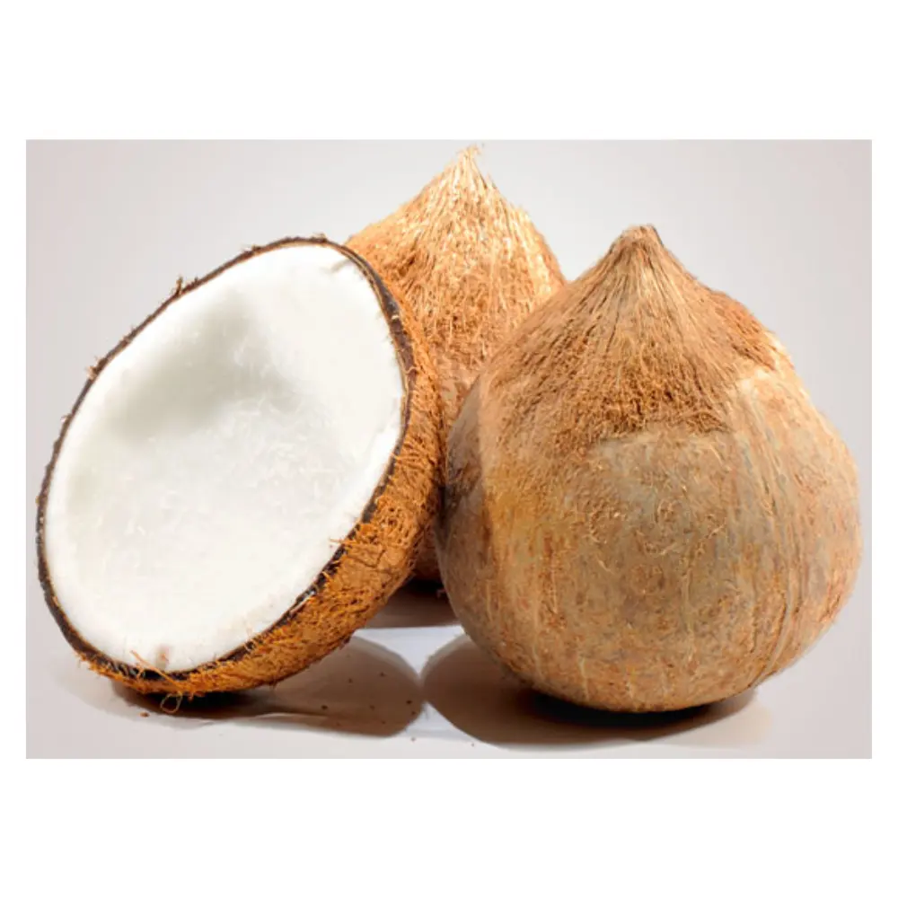 Newest Crop Dry Coconut Semi Husked Coconut Vietnam Products Competitive Price Dry Products