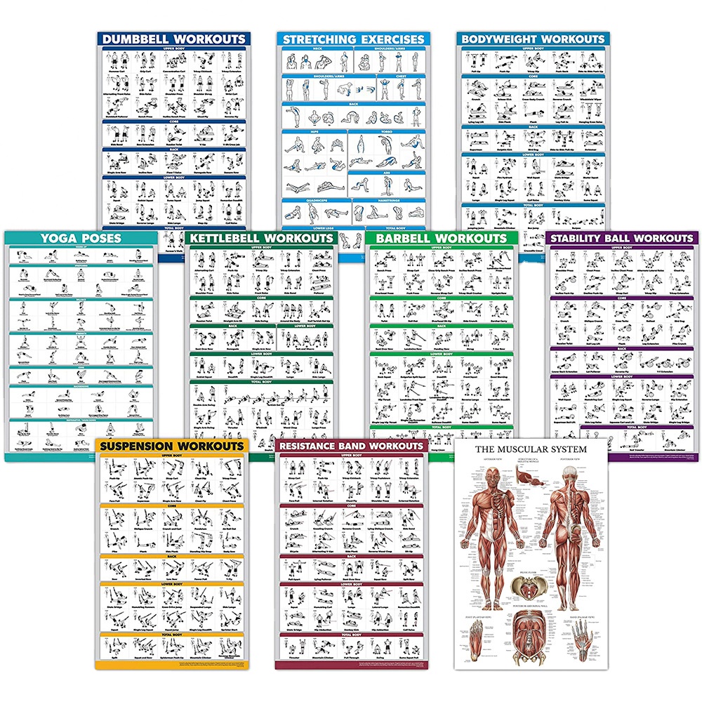 Laminated Dumbbell Workout Exercise Poster Free Weight Body Building Guide Home Gym Bodyweight Stretching Routine Poster Charts