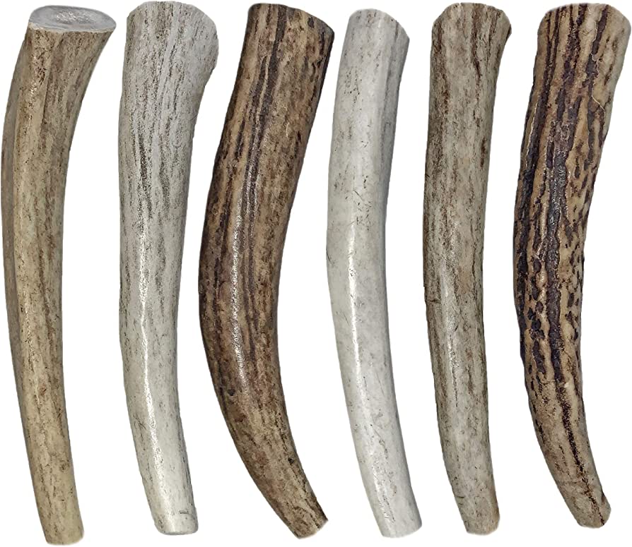 Red Deer Antlers For Sale