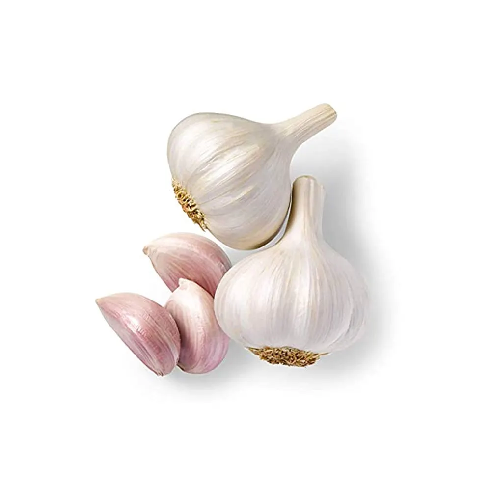 Best Selling Garlic Available At Wholesale Price From Indian Supplier