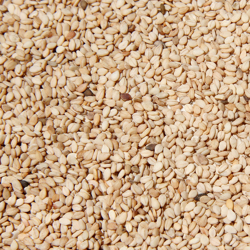 Hot SALE - FREE tax Dried Sesame in White, Yellow and Black - export worldwide - directly from fields