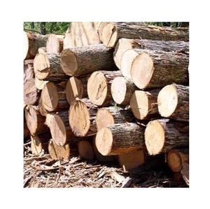 Fresh Cut Pine Wood Logs for Furniture Making Variety of Timbers Including Teak Oak Spruce Walnut Beech in Round Pattern
