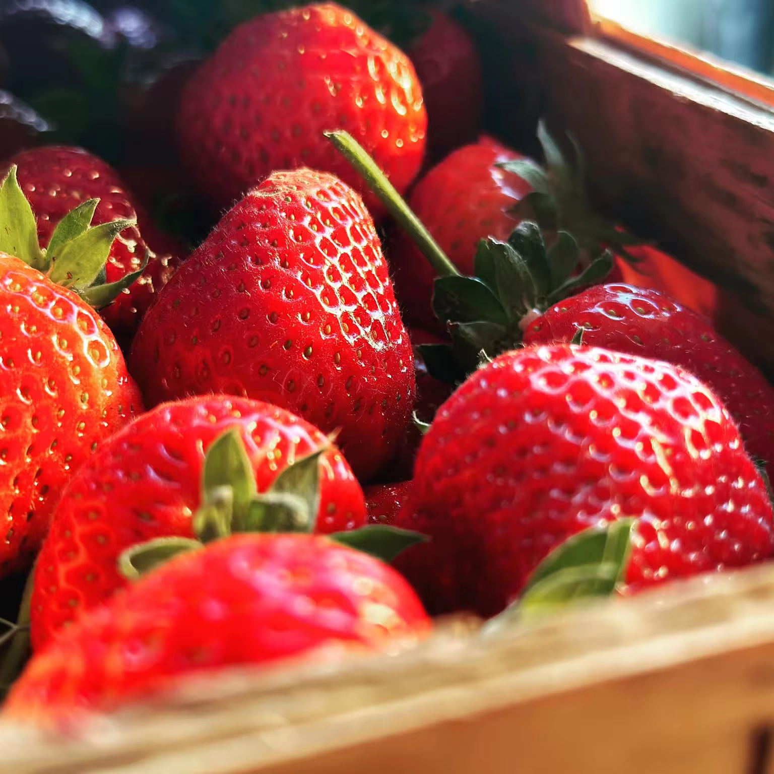 Fresh Strawberries Premium Type Berries