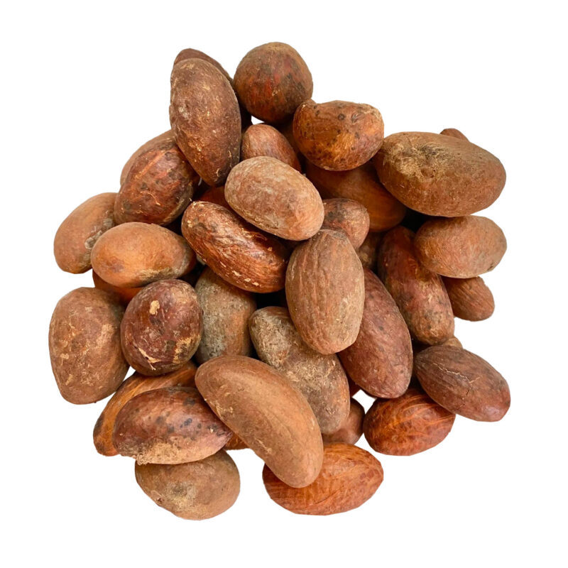 Buy Bitter Kola Nut (Cola Nuts) Fresh Garcinia Kola