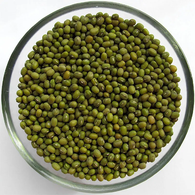 Green Lentils Beans Kazakhstan Wholesale Natural Organic First Grade Green Lentil Beans 50 Kg Bag Packaging