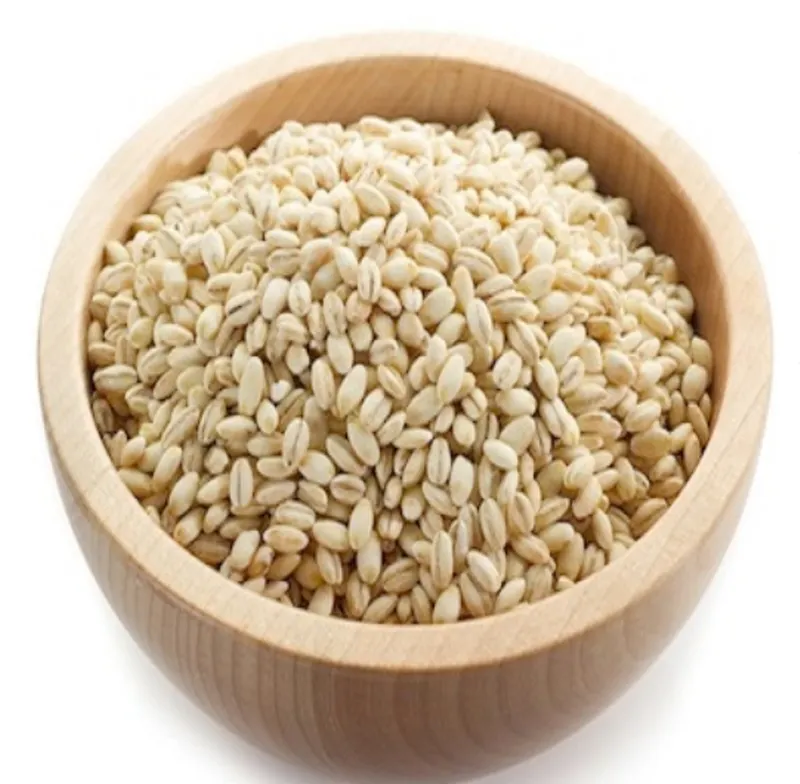 Indian Barley for Malt, Barley Feed, Malted Barley Animal Feed Barley