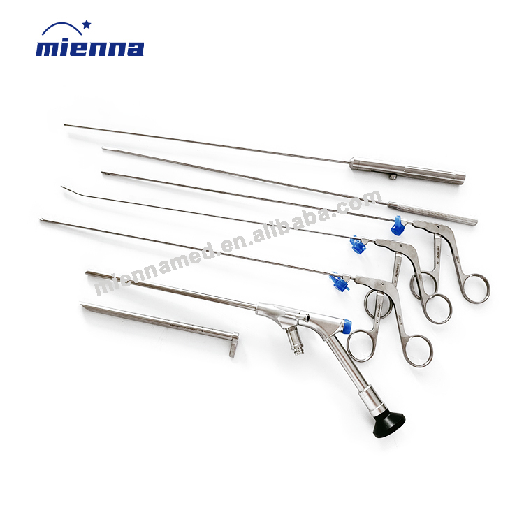 Spine Surgery Transforaminal Endoscopic Discectomy