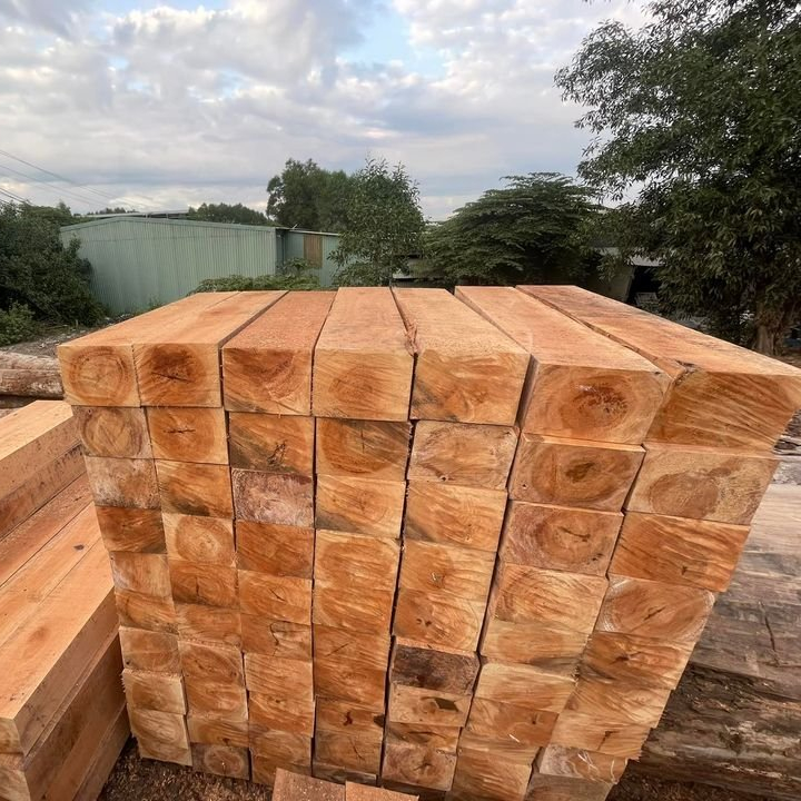 Lumber is useful for house construction