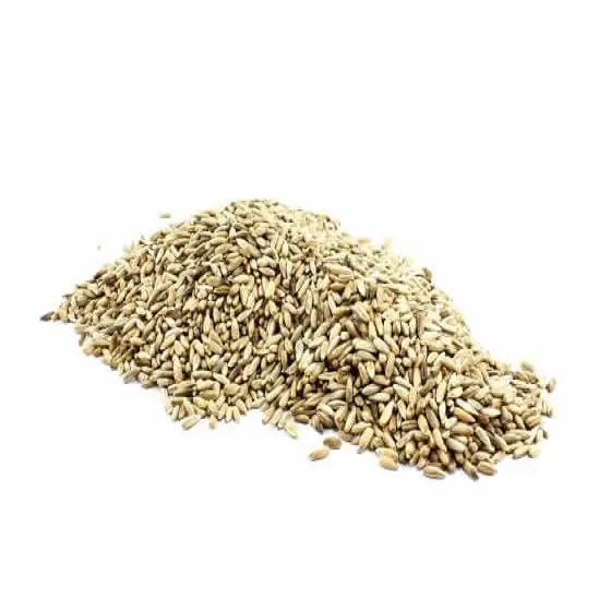 2022 Latest Crop New Arrival Dried Agriculture Grain Organic Rye at Wholesale Price