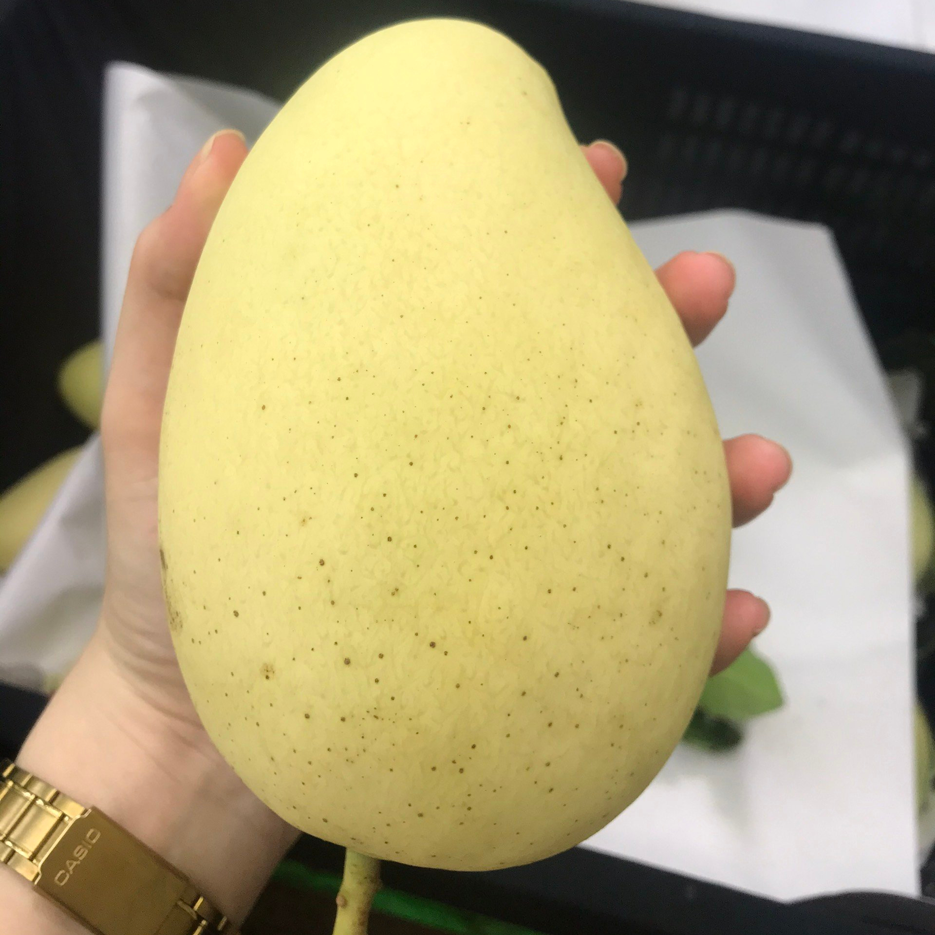 100% натуральное свежее манго из Вьетнама, Лучшая цена, высокое качество, 100% оригинальная картонная коробка из Вьетнама