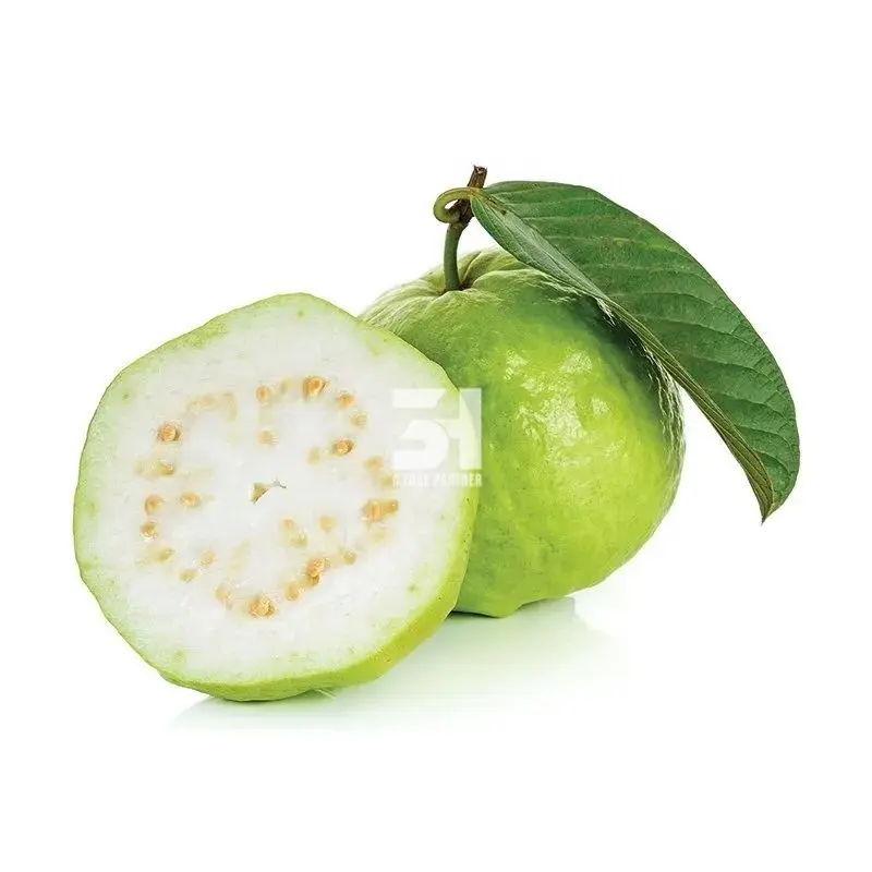 IQF Frozen White Guava Made In Vietnam 100% Natural And High Quality Contact +84 981 85 90 69