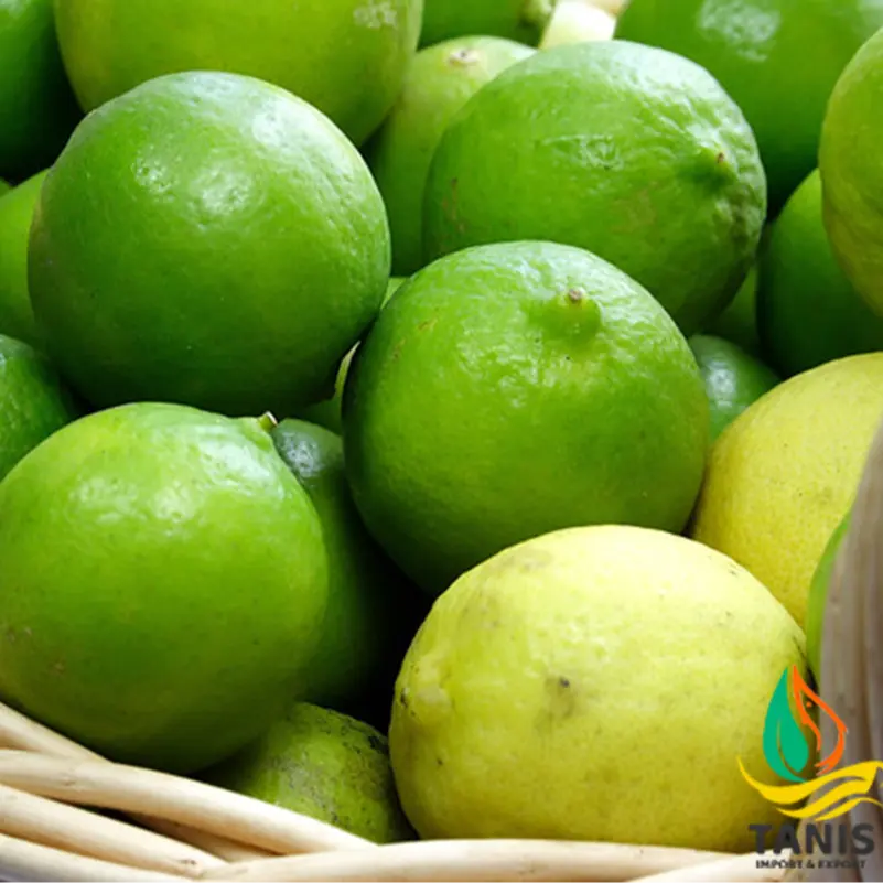 Fresh Persian Lime Premium quality Lemon packing in 6kg bag size 5-6 cm