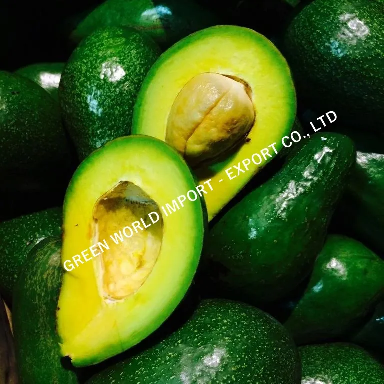 Лучшее качество замороженного авокадо для здоровья от вьетнамского оптового продавца летом!
