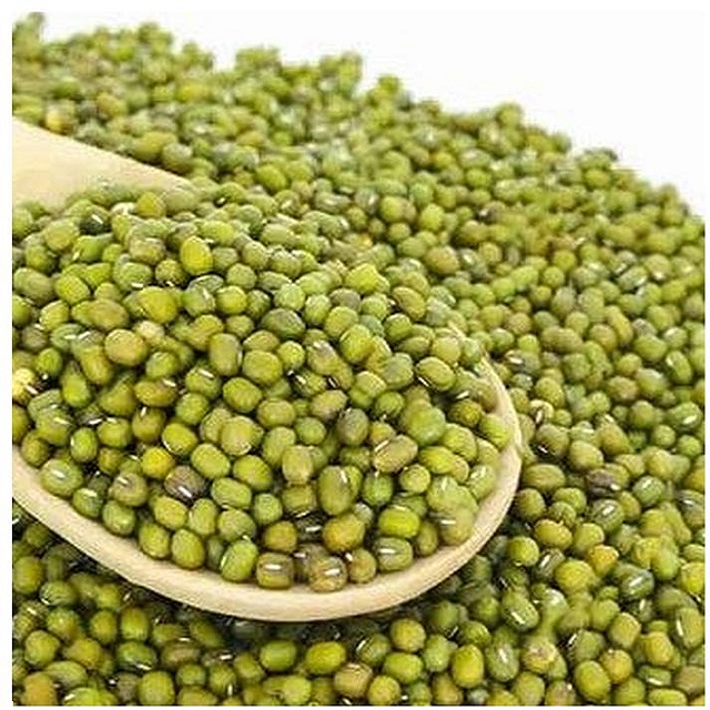 Зеленая фасоль Mung зеленая фасоль Vigna зеленый грамм фасоль