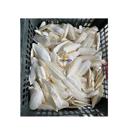 Vietnam high quality Natural and Nutrient-rich Cuttlefish Bone for Reptiles and Birds ready to export