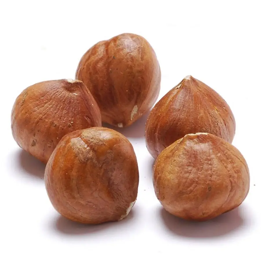 Wholesale Quality Turkish Hazelnut AGROWELL TURKISH GOODS