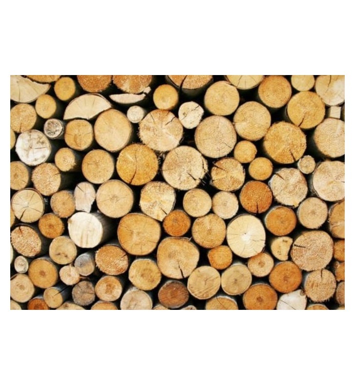 Hardwood Logs at Cheap Prices Bulk Discounts Available Excellent Quality for Firewood and Carpentry