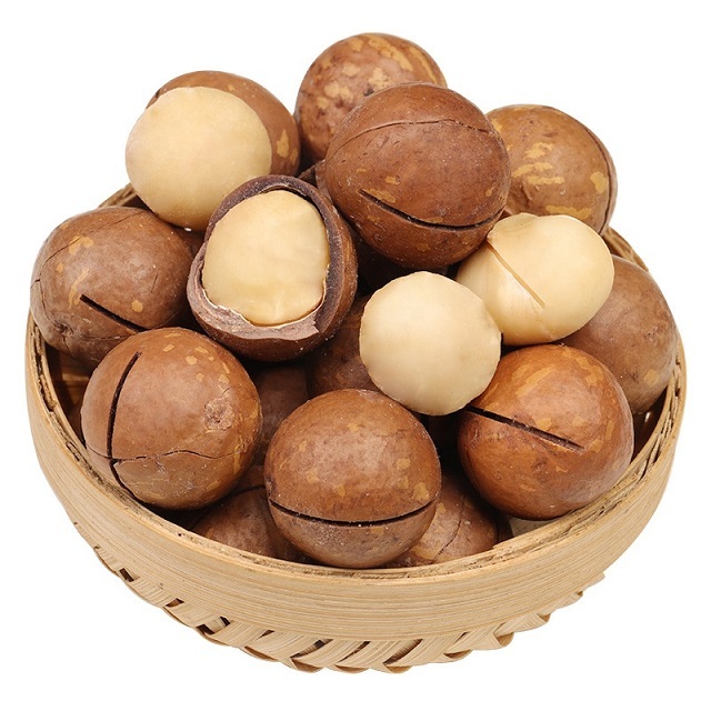 Macadamia Nuts Raw Salted Roasted Maca Powder Healthy Food Macadamia in Shell