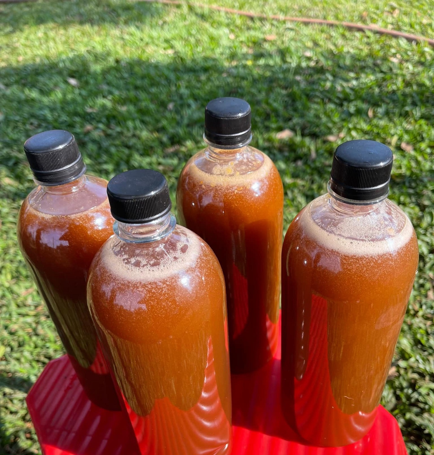 HIGH QUALITY POLY FLORAL & ACACIA HONEY - 100% NATURAL HONEY From Vietnam