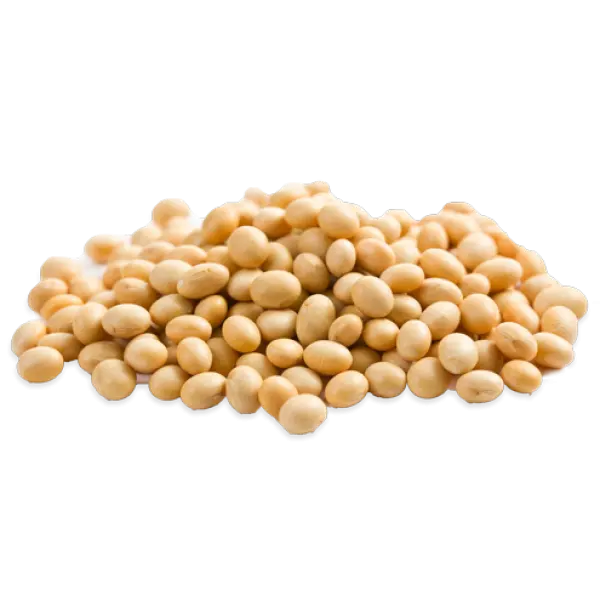 Factory Price GMO Soybean SBDM For Animal Feed with Fast Delivery from Thailand Soya beans
