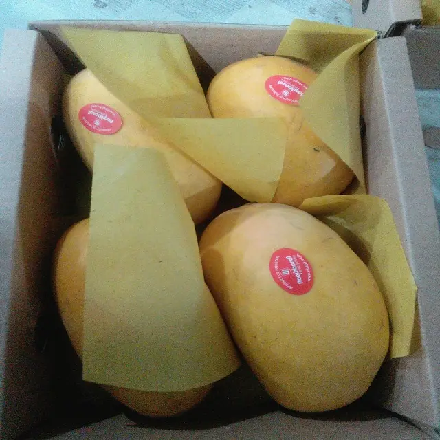 Chaunsa Mango premium export quality A++ fresh mango fresh fruit customization logo box packing whole sale cheap price