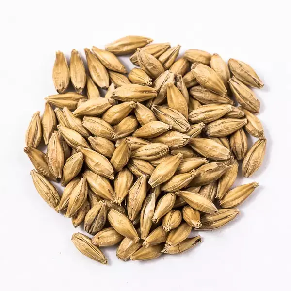 100% Malt Barley, Hulled Barley, Pearl Barley For Sal Animal Feed and Human/ Barley Malt