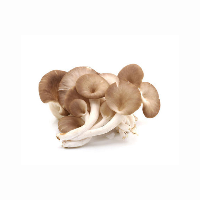 Wholesale High Quality Natural Dried Mushroom Prices Mushroom