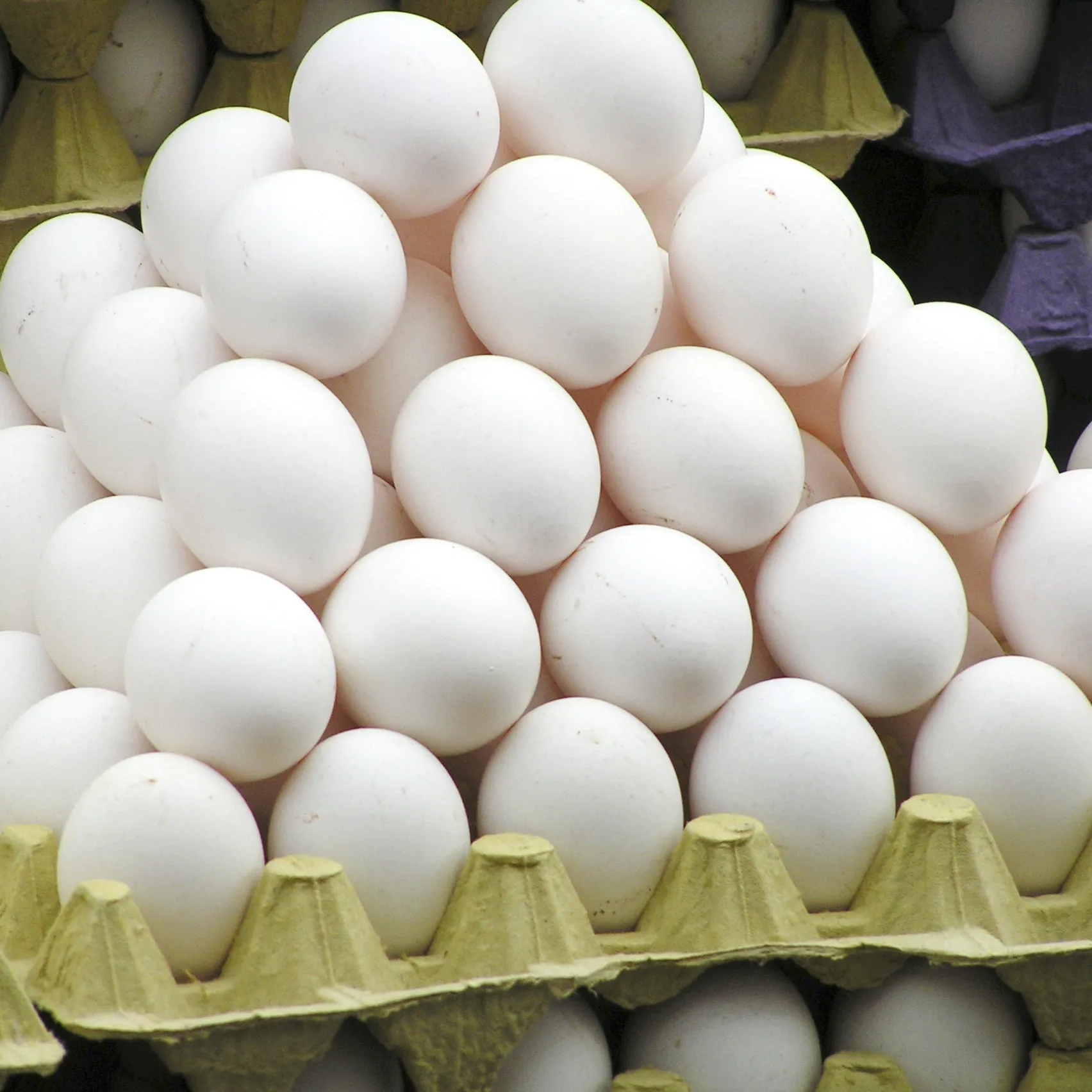 Wholesale Best Quality 58gms Size Farm Fresh Range Pure White Shell Table Chicken Eggs