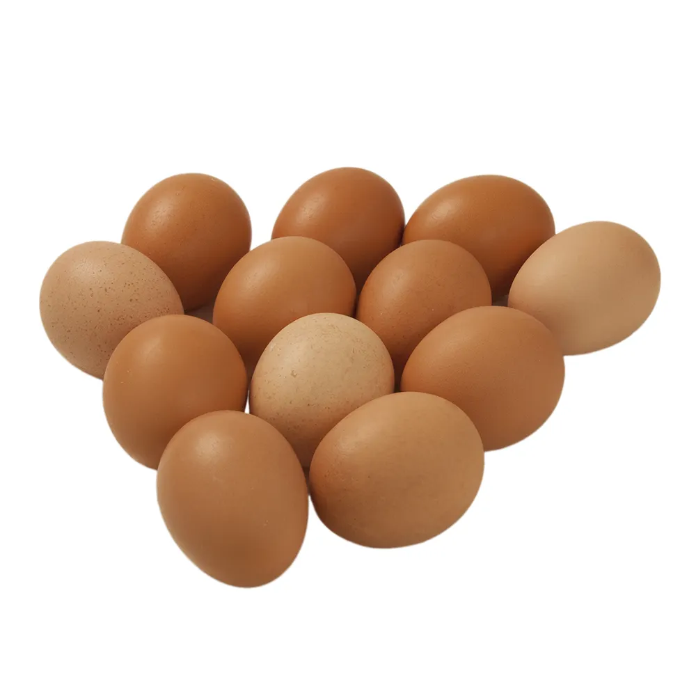 Первоклассные свежие куриные яйца для фермы, коричневые и белые куриные яйца из ракушек