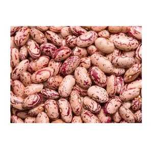 Non-GMO High Grade Natural Bulk Dried Speckled Beans
