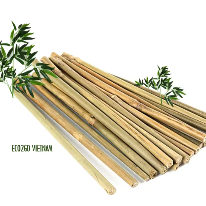 Sustainable Flexible and Natural Bamboo Stick Supporting Flower/  Bamboo stick for incense stick Made in Vietnam For Agriculture