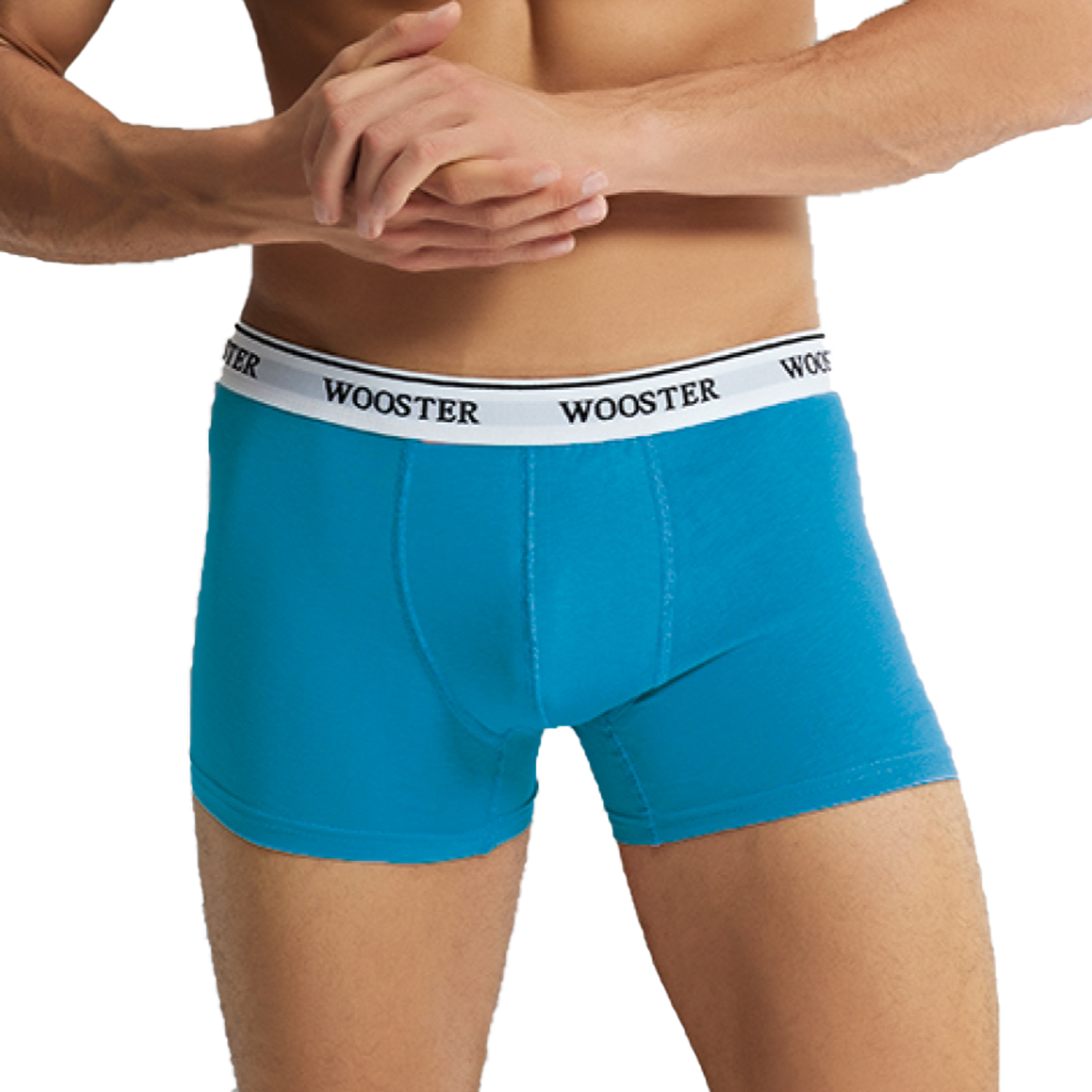 turkish High quality men's underwear Soft fabric boxers adult boxers Men's Boxers Short cotton man underwear Wooster-074